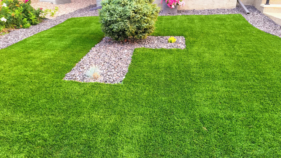 How to Grow a Lush Green Lawn Without Harsh Chemicals