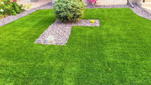 How to Grow a Lush Green Lawn Without Harsh Chemicals