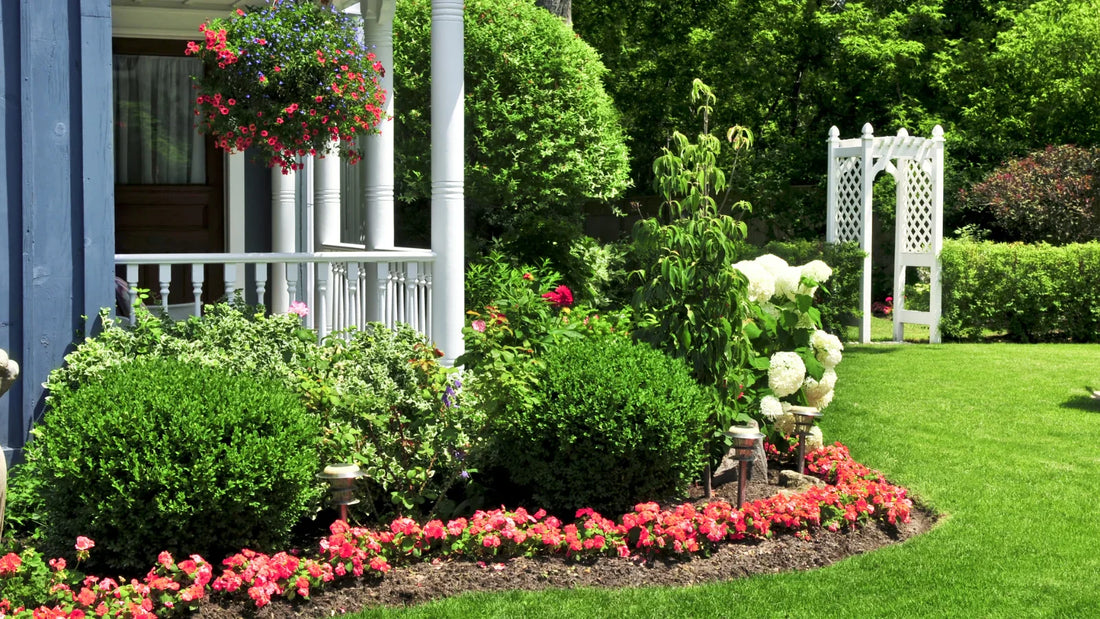 How to Keep Flowers Blooming All Season with Natural Fertilizers