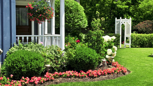 How to Keep Flowers Blooming All Season with Natural Fertilizers