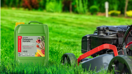 The Best Lawn Care Routine for a Greener, Healthier Yard