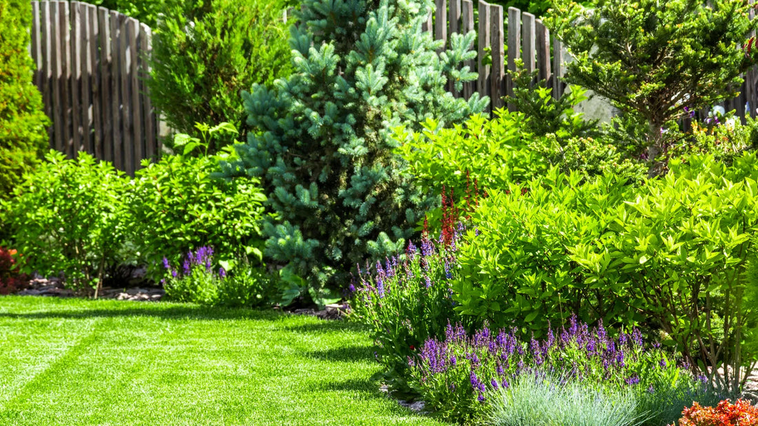 The Secret to a Thriving Home Garden: How Potassium Humate Boosts Plant Growth