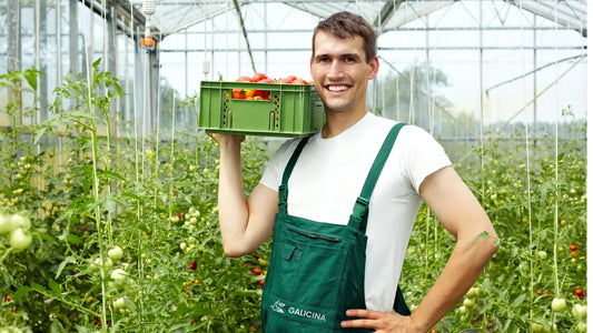 Unlocking Maximum Crop Potential with Potassium Humate Fertilizer